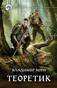 Владимир Корн Теоретик [с иллюстрациями] обложка книги