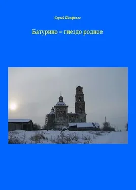 Сергей Панфилов Батурино – гнездо родное обложка книги