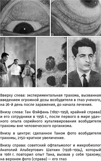 После войны Тан в последний раз думал уехать из Китая как деятель - фото 139