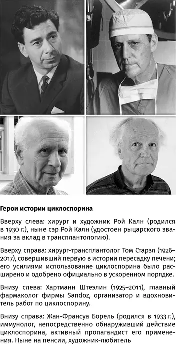 Хирургическая техника доросла до пересадки внутренних органов Том Старзл в - фото 150