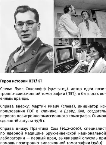 Случайно работая по совсем другой теме Соколофф узнал что дезоксиглюкоза - фото 153