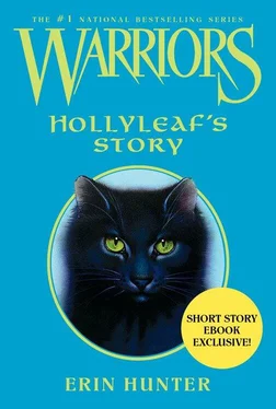 Эрин Хантер Hollyleaf’s Story обложка книги