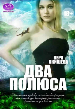 Вера Окишева Два полюса [СИ] обложка книги