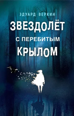 Эдуард Веркин Звездолет с перебитым крылом [litres] обложка книги