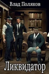 Влад Поляков - Ликвидатор [СИ]
