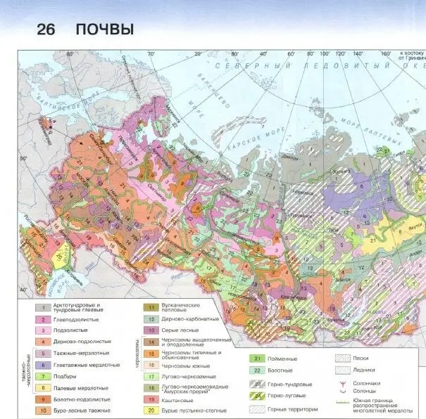 Почва особое природное тело которое образуется в поверхностном слое земной - фото 4