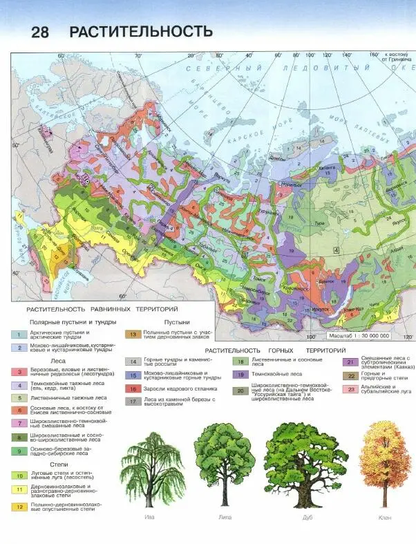 Природные зоны и их обитатели Охраняемые те - фото 6