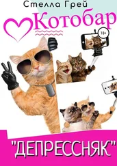 Стелла Грей - Котобар «Депрессняк»