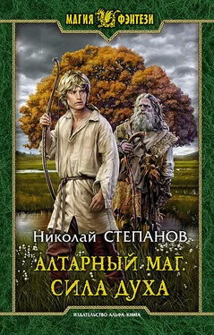 Николай Степанов Алтарный маг. Сила духа [litres] обложка книги