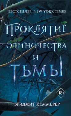 Бриджид Кеммерер Проклятие одиночества и тьмы обложка книги