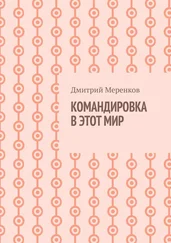 Дмитрий Меренков - Командировка в этот мир