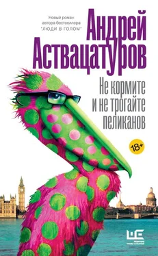 Андрей Аствацатуров Не кормите и не трогайте пеликанов обложка книги