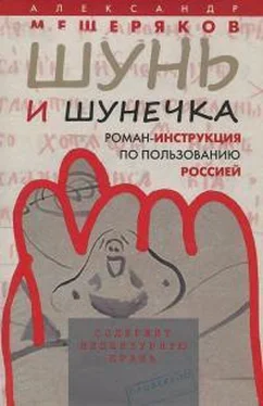 Александр Мещеряков Шунь и Шунечка обложка книги