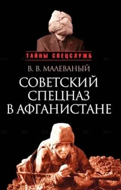Валерий Малеваный Советский спецназ в Афганистане обложка книги