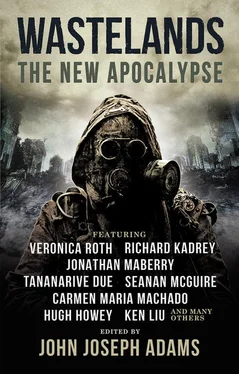 Морин Макхью Wastelands: The New Apocalypse обложка книги