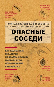 Елена Корнакова Опасные соседи [litres] обложка книги