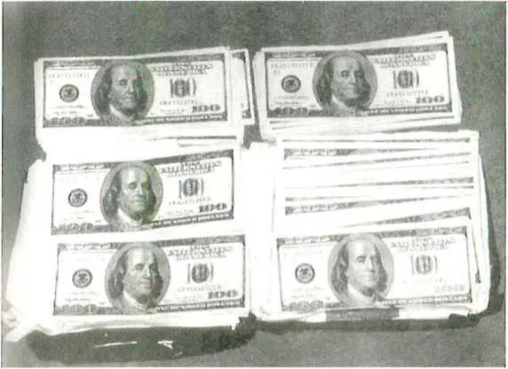 50 000 долларов оставленных для Хансена в тайнике в ЛонгБранч парк шт - фото 16