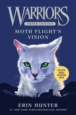 Эрин Хантер Moth Flight’s Vision обложка книги
