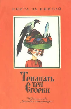 Георгий Науменко Тридцать три Егорки обложка книги