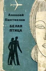 Алексей Пантиелев - Белая птица