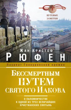 Жан-Кристоф Руфин Бессмертным Путем святого Иакова. О паломничестве к одной из трех величайших христианских святынь [litres] обложка книги