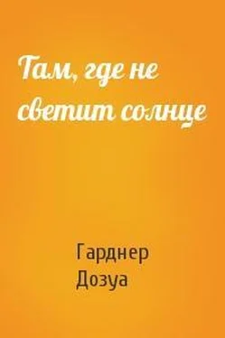 Гарднер Дозуа Там, где не светит солнце обложка книги