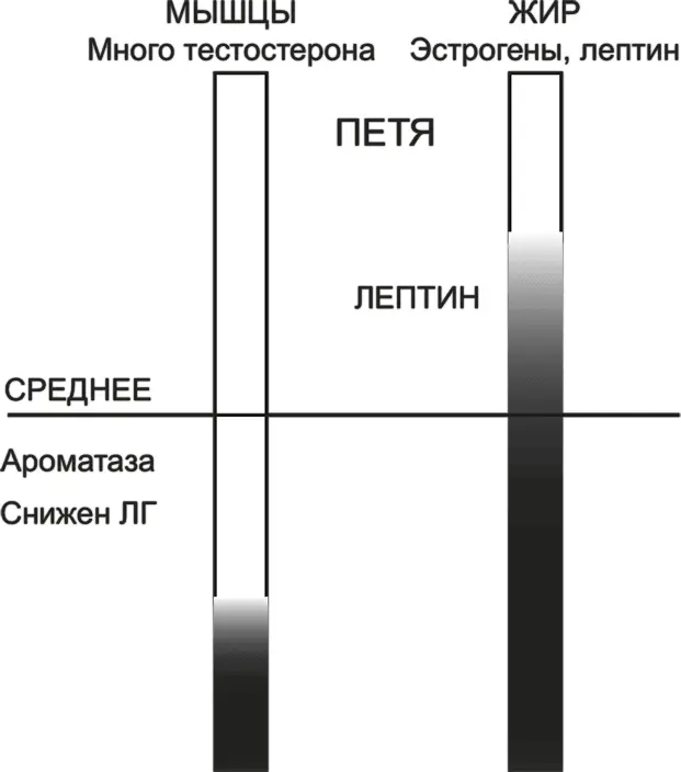 Так что же это значит Запомните факт одновременно похудеть и накачаться - фото 28