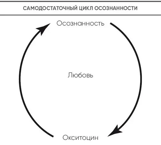 Также я обнаружил что как только мы освобождаем своё пространство для любви - фото 8