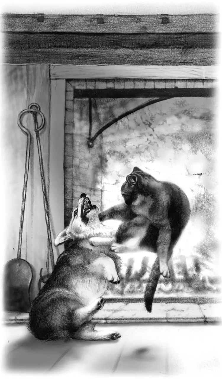 Harry you have an attack cat MaryJo never having met Pewter before was - фото 8