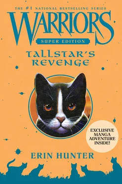 Эрин Хантер Tallstar’s Revenge обложка книги