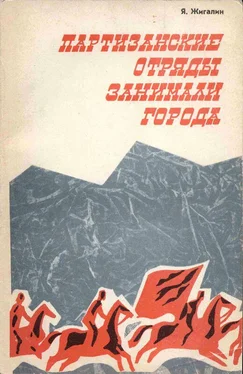 Яков Жигалин Партизанские отряды занимали города обложка книги