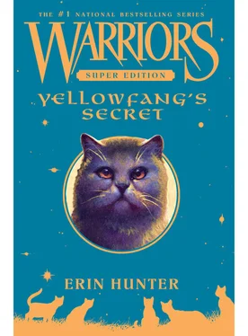 Эрин Хантер Yellowfang’s Secret обложка книги