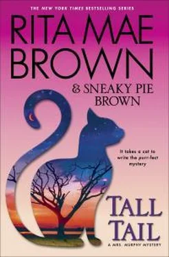 Рита Браун Tall Tail обложка книги