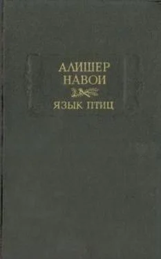 Алишер Навои Язык птиц обложка книги