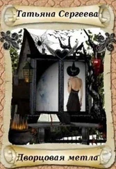 Татьяна Сергеева - Дворцовая метла [СИ]