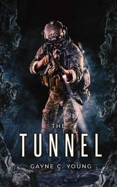 Gayne Young The Tunnel обложка книги