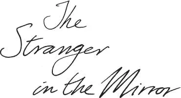 The Stranger in the Mirror - изображение 1