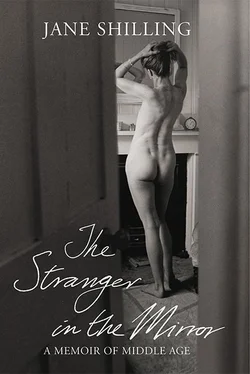 Jane Shilling The Stranger in the Mirror обложка книги