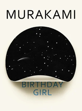 Харуки Мураками Birthday Girl обложка книги