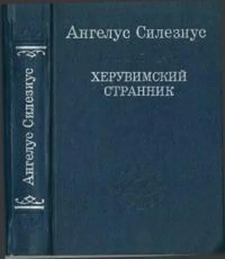 Ангелус Силезиус Херувимский странник обложка книги