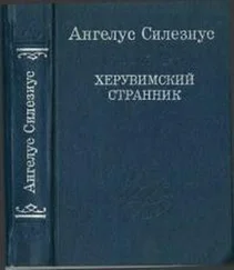 Ангелус Силезиус - Херувимский странник