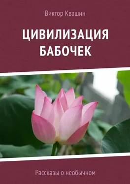 Виктор Квашин Цивилизация бабочек обложка книги