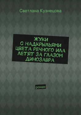 Светлана Кузнецова Жуки с надкрыльями цвета речного ила летят за глазом динозавра обложка книги