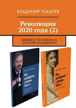Владимир Токарев Революция 2020 года (2) обложка книги