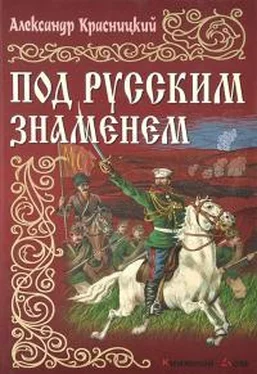 Александр Красницкий Под русским знаменем обложка книги