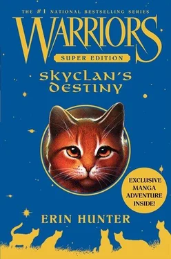 Эрин Хантер Skyclan’s Destiny обложка книги