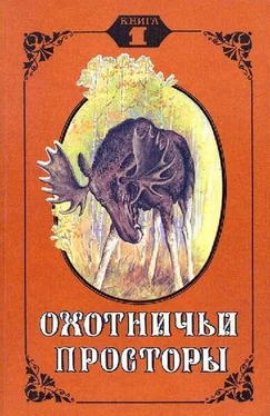 Евгений Дубровский Дикий человек обложка книги