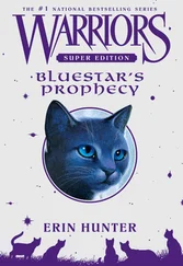 Эрин Хантер - Bluestar's Prophecy