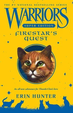 Эрин Хантер Firestar’s Quest