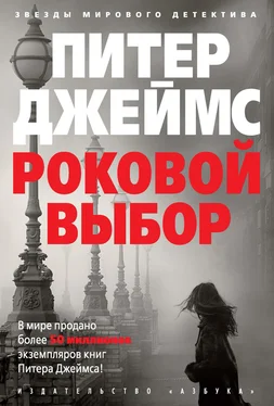 Питер Джеймс Роковой выбор [litres] обложка книги